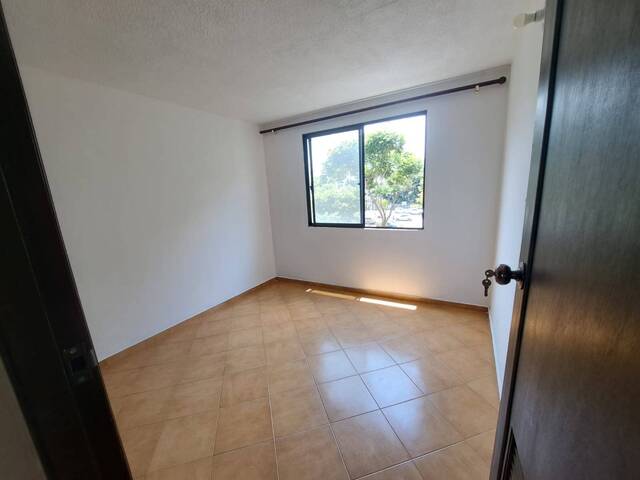 Departamento para Alquiler en Cali - 5